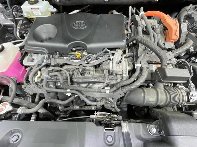23497784_carP_l_18.jpg