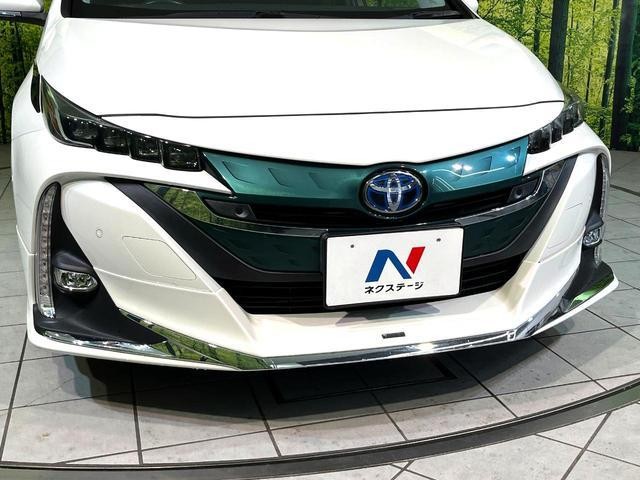 26272630_carP_l_15.jpg