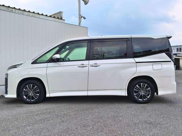 25249178_carP_l_6.jpg