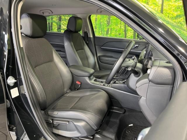 25885147_carP_l_17.jpg