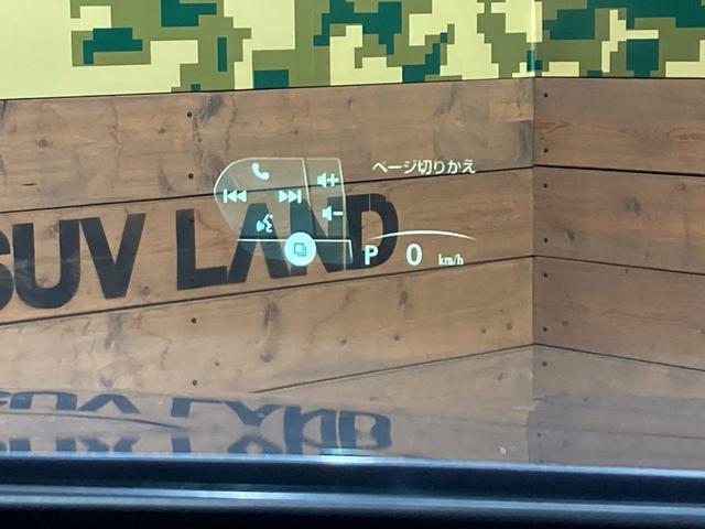 24541686_carP_l_14.jpg