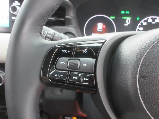 24111456_carP_l_6.jpg