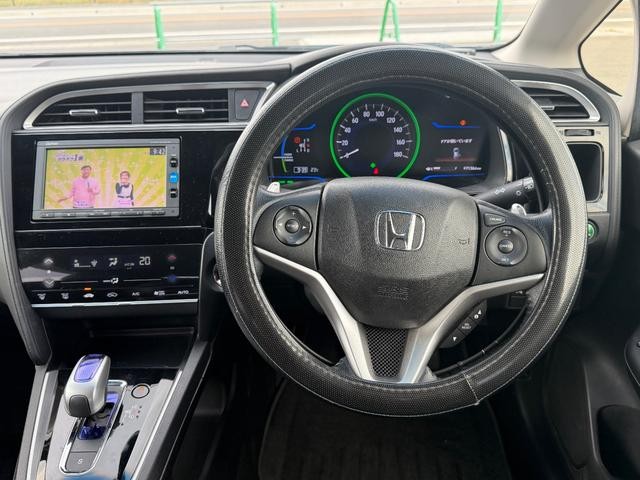 0704629A30261026W01517.jpg
