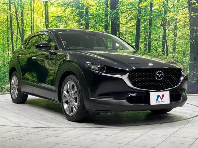 25241793_carP_l_11.jpg