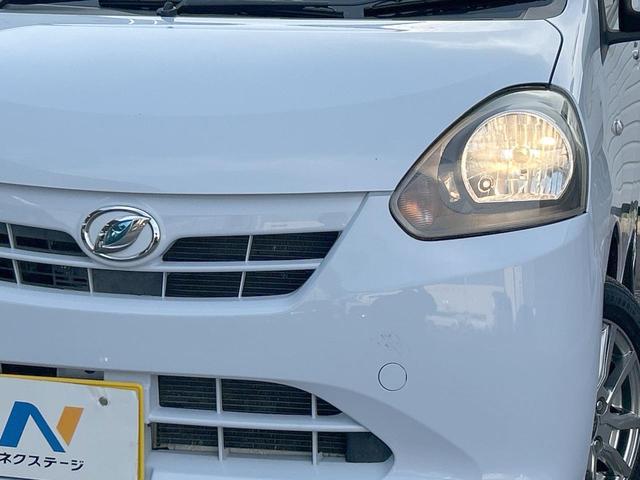 24320553_carP_l_6.jpg