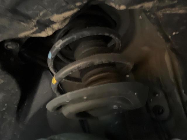 26731502_carP_l_20.jpg