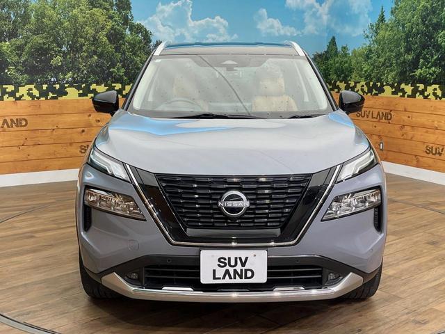 24179467_carP_l_11.jpg