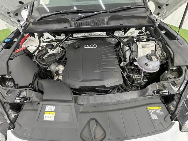 25667797_carP_l_8.jpg