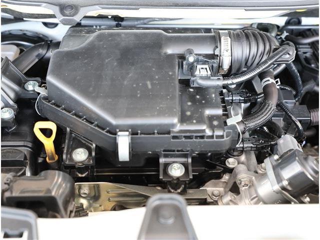 23422607_carP_l_12.jpg