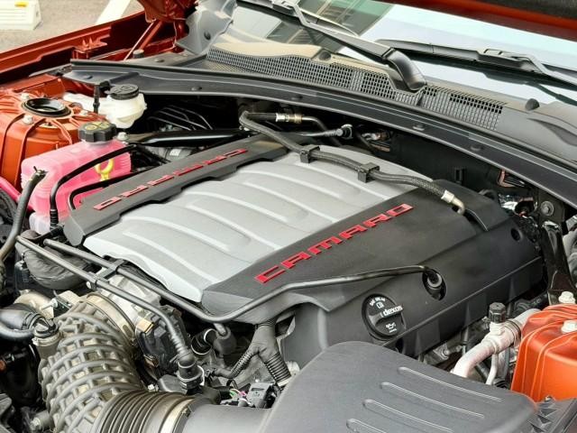 26095206_carP_l_16.jpg