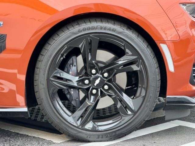 26095206_carP_l_4.jpg