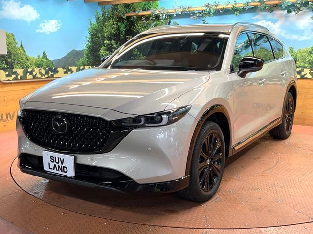 24624938_carP_l_16.jpg
