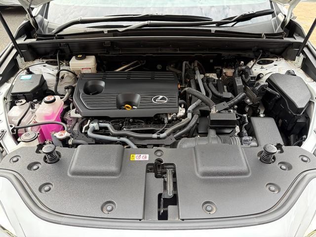 26704071_carP_l_19.jpg