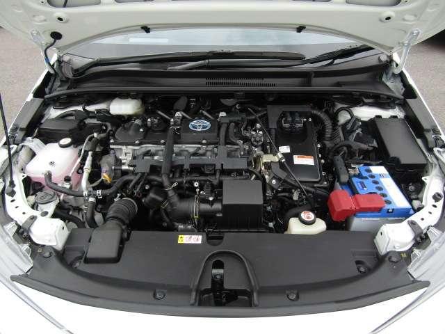 23671137_carP_l_9.jpg