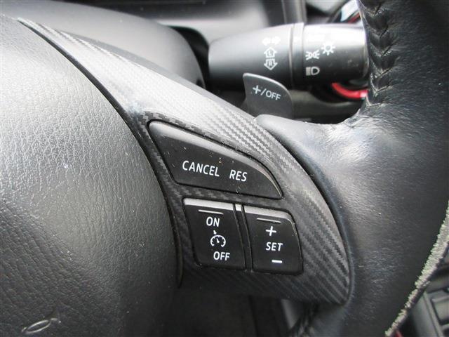 24808782_carP_l_2.jpg