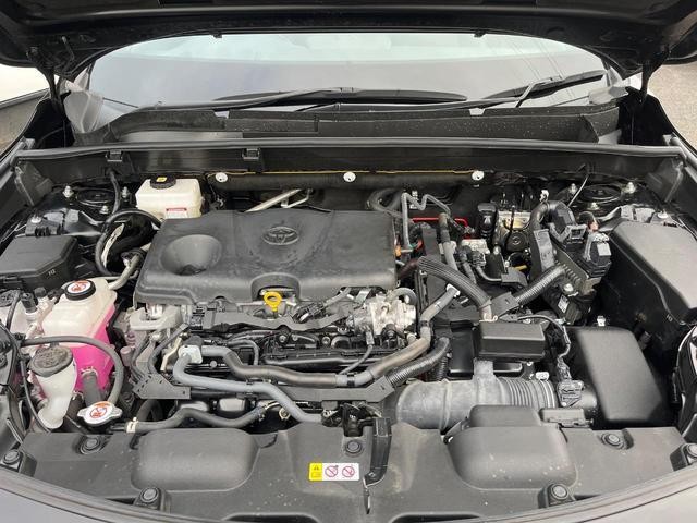 26314111_carP_l_16.jpg