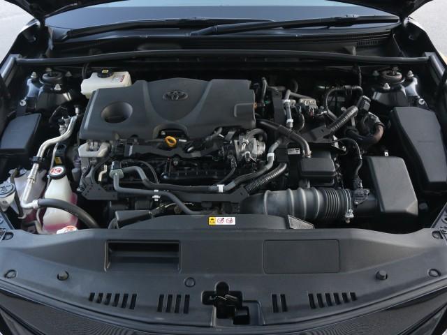 23521499_carP_l_17.jpg
