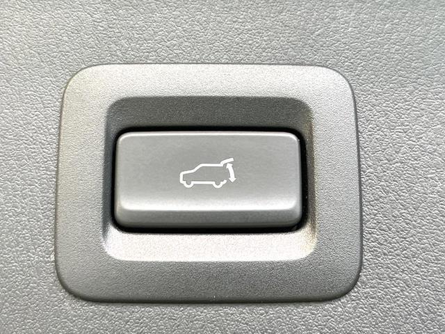 23535439_carP_l_13.jpg