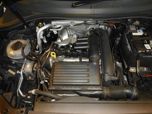 26801631_carP_l_20.jpg