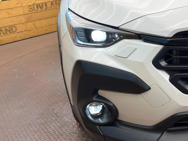 25241366_carP_l_6.jpg