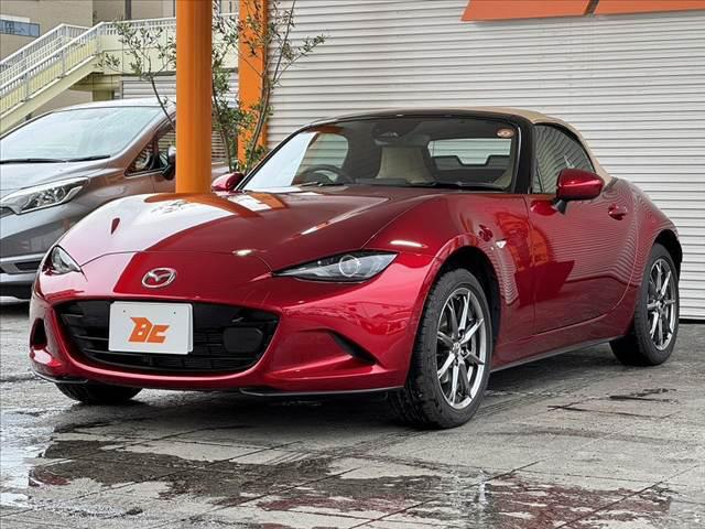 08.jpg