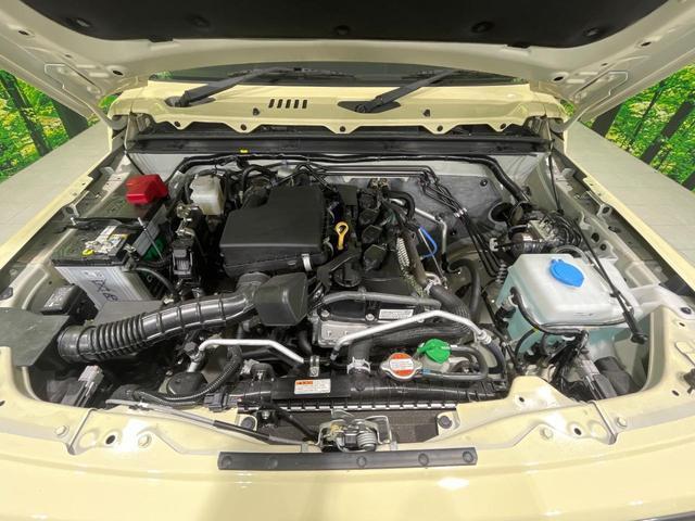 24461712_carP_l_16.jpg