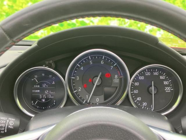 22819953_carP_l_7.jpg