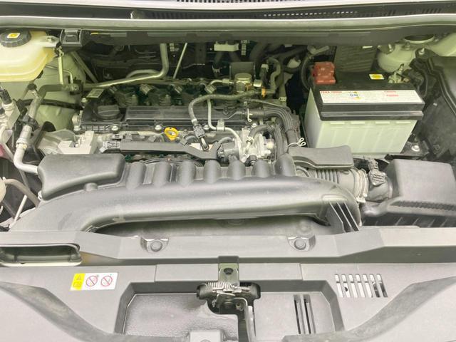 24849397_carP_l_18.jpg