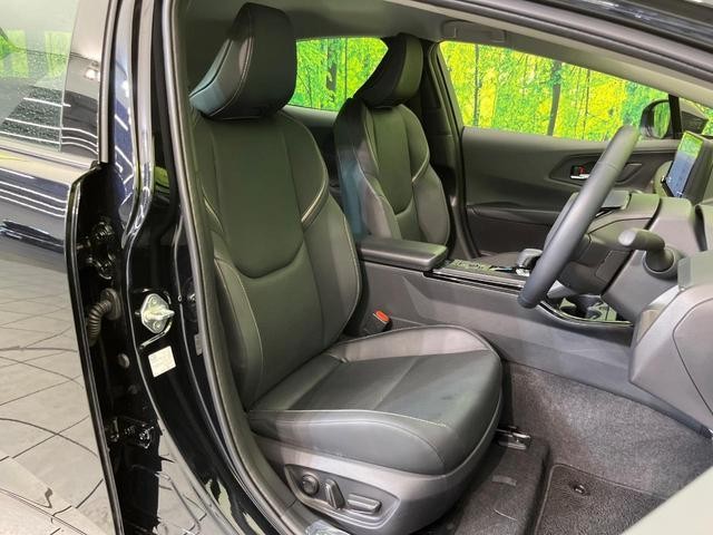 25734345_carP_l_17.jpg