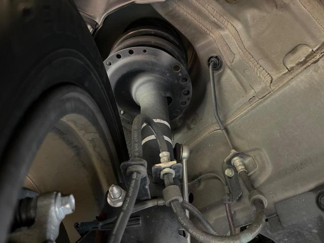 24869188_carP_l_20.jpg