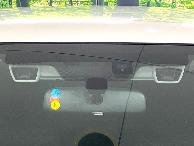 26773767_carP_l_15.jpg