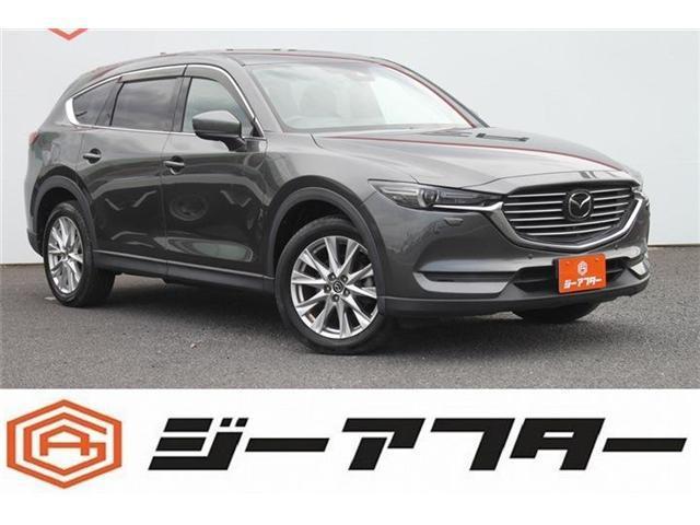 23581120_carP_l_1.jpg