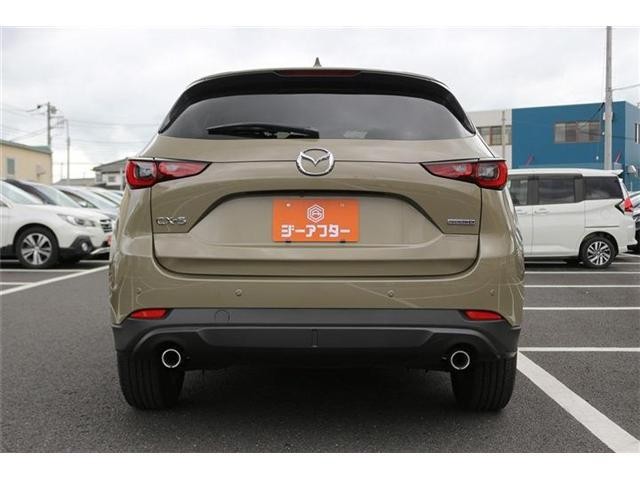 25797847_carP_l_2.jpg