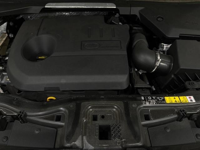 25323877_carP_l_16.jpg