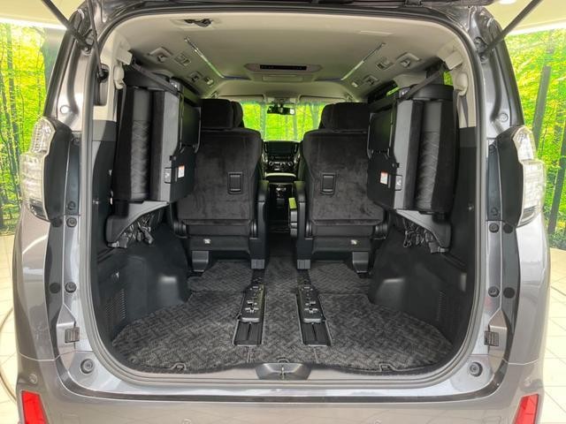 26023028_carP_l_5.jpg
