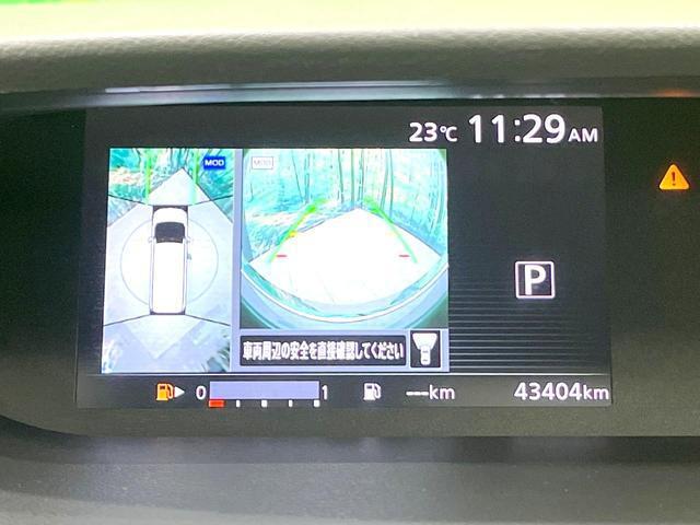 24300491_carP_l_10.jpg