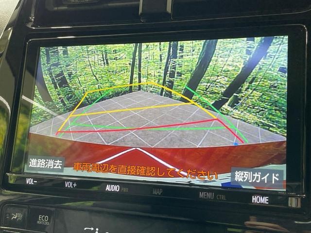 25653454_carP_l_4.jpg