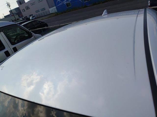 26089978_carP_l_14.jpg