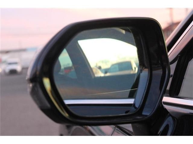 26788463_carP_l_18.jpg