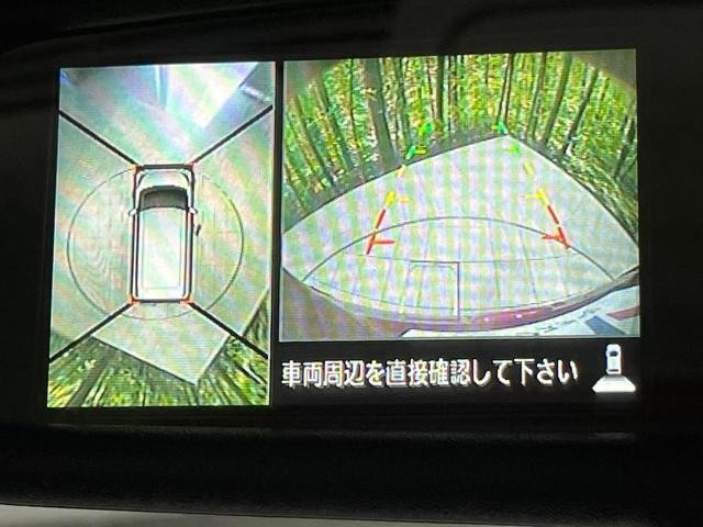 26023122_carP_l_4.jpg
