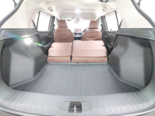 25194013_carP_l_6.jpg