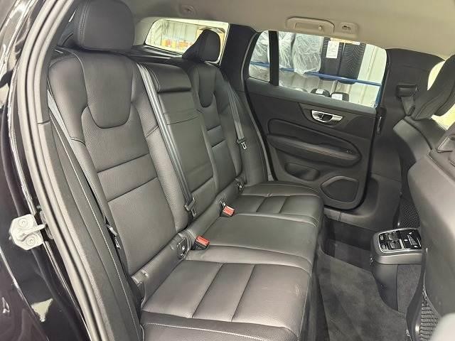 25748892_carP_l_6.jpg