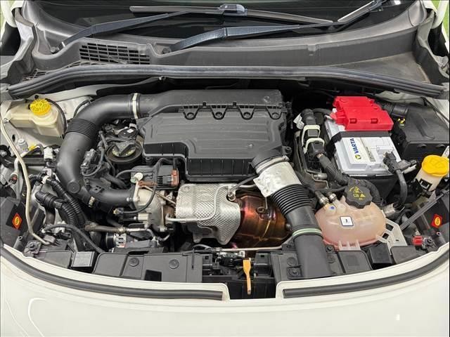 25748895_carP_l_7.jpg