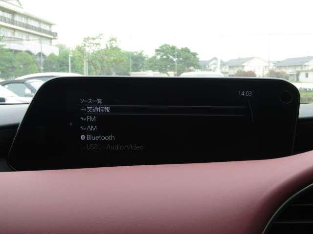 23622543_carP_l_14.jpg
