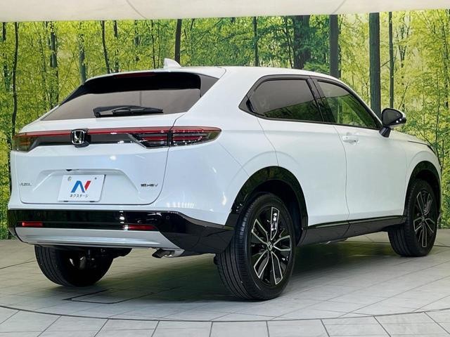26314211_carP_l_12.jpg