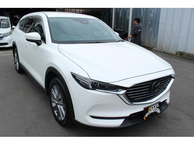 25481932_carP_l_7.jpg