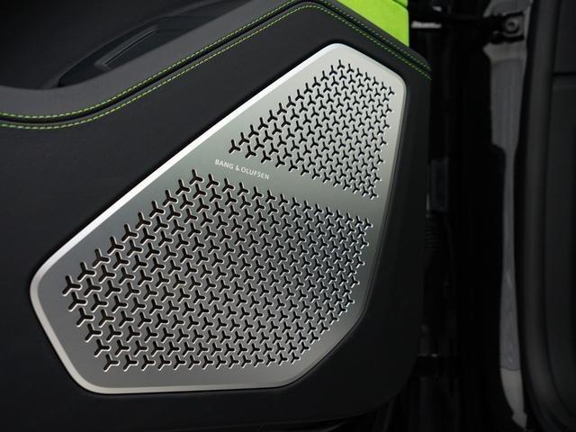 25748919_carP_l_15.jpg