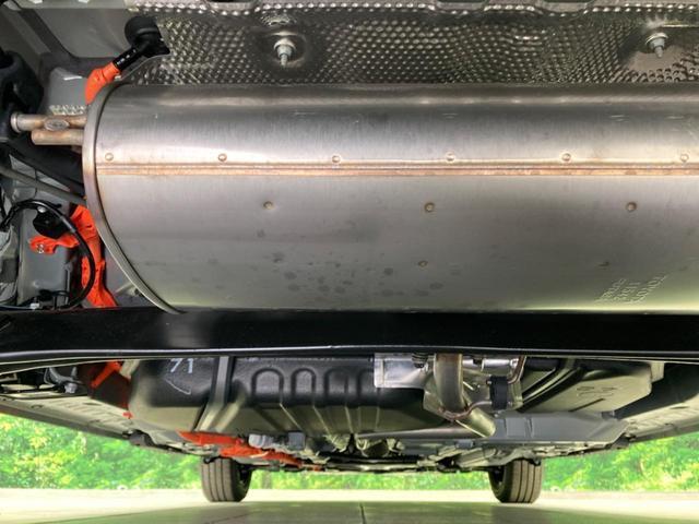 24340637_carP_l_18.jpg