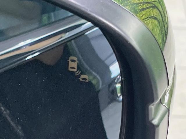 26168627_carP_l_19.jpg
