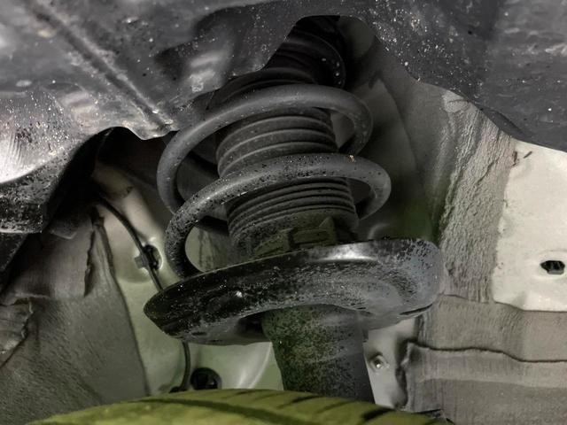 26838304_carP_l_20.jpg